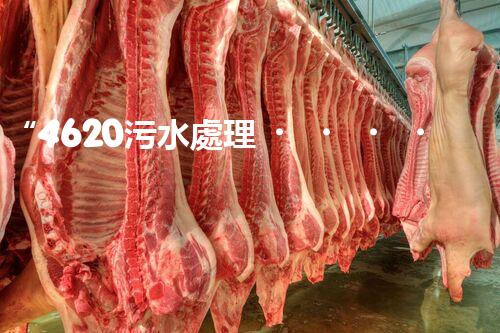 “4620污水處理，引領(lǐng)再生利用新篇章”